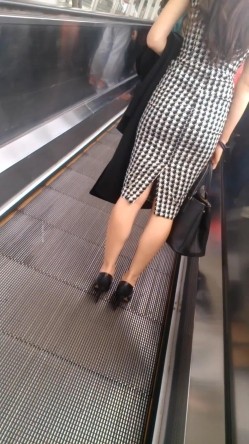 预览图6