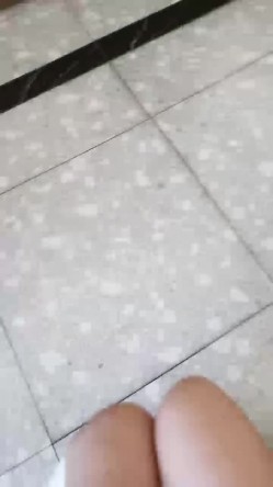 预览图7