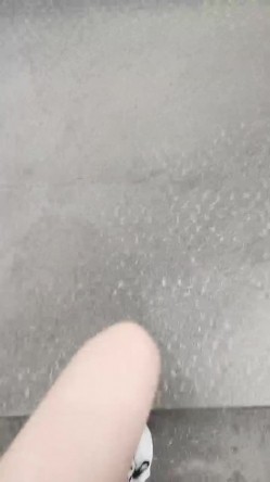 预览图12
