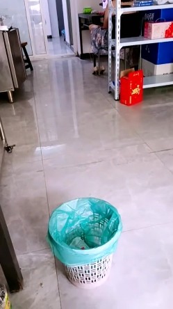 预览图16