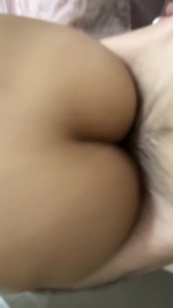 预览图4