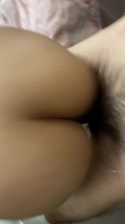 预览图15