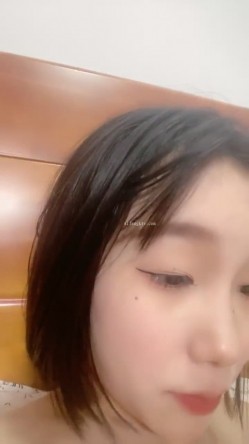 预览图13