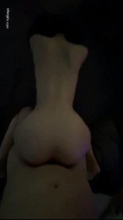 预览图4