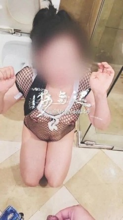 预览图14
