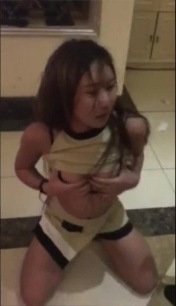 预览图4