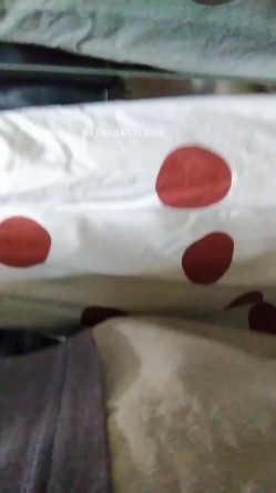 预览图7