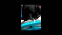 预览图5