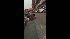 预览图8