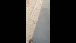 预览图9