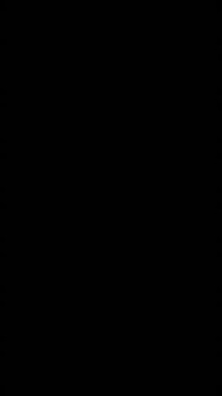 预览图13