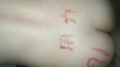 预览图12