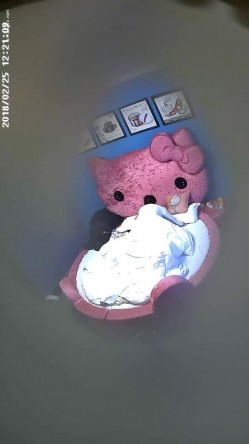 预览图8
