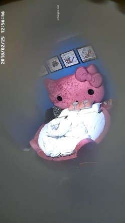 预览图12