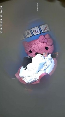 预览图13