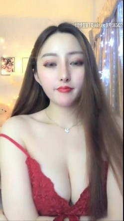 预览图4