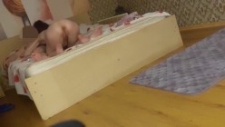 预览图8