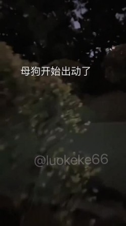 预览图3