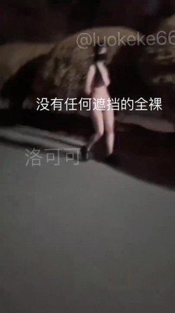 预览图4