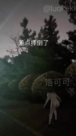 预览图5