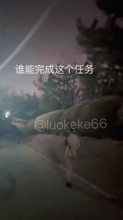 预览图6