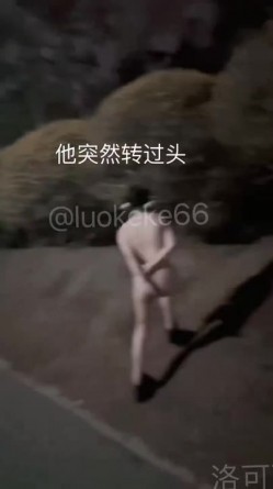预览图7