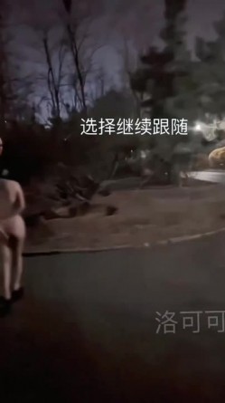预览图11