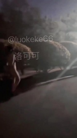预览图12