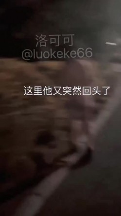 预览图14