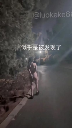预览图15