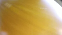 预览图9