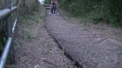 预览图11