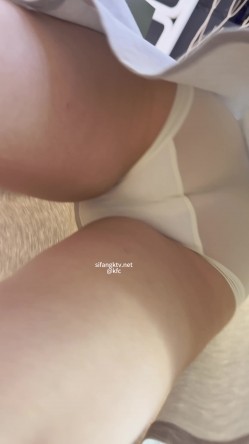 预览图4