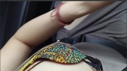 预览图4