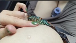 预览图12