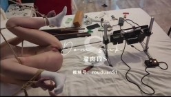 预览图4