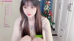 预览图4
