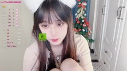 预览图5