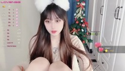预览图11
