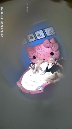 预览图8