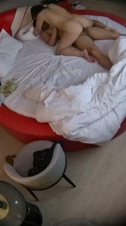 预览图8