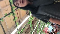预览图6