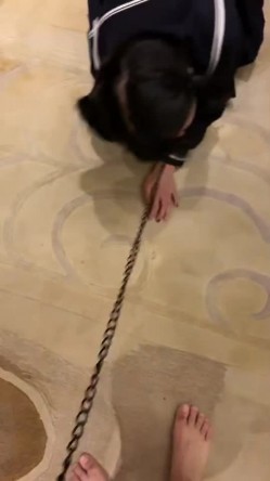预览图2