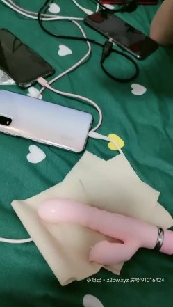 预览图5