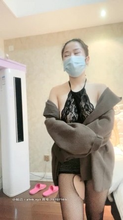 预览图4