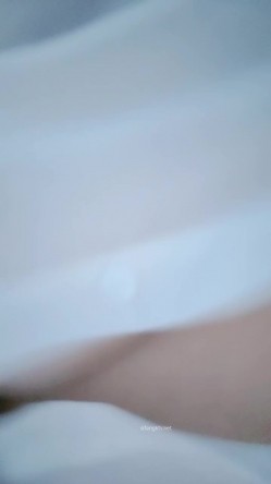 预览图5