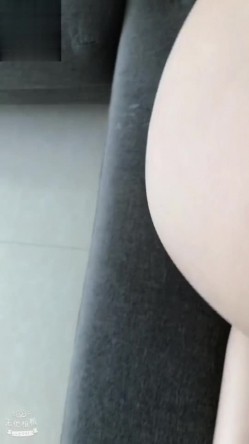 预览图5