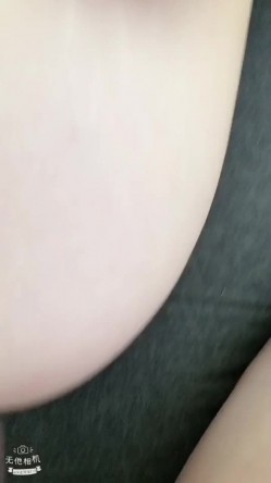 预览图14