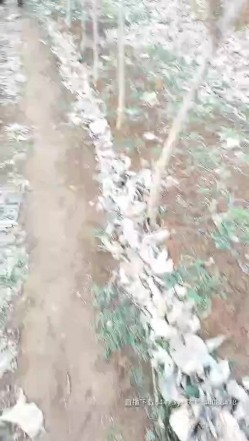 预览图10