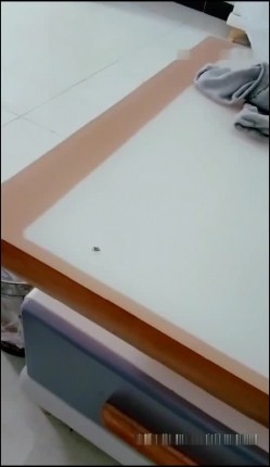 预览图4